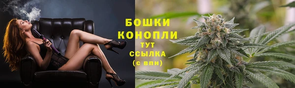 трава Лабытнанги