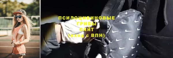 трава Лабытнанги