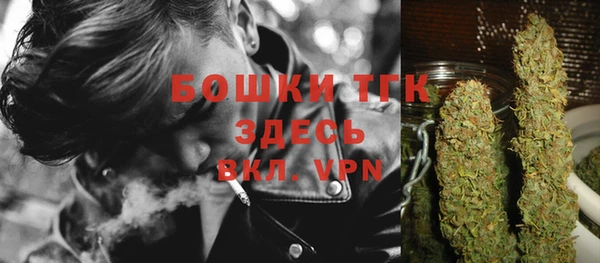 трава Лабытнанги