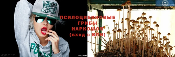 марки nbome Ладушкин