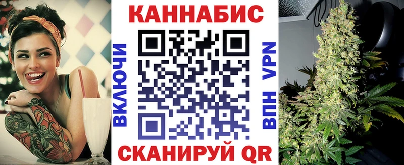 Купить где  Нижний Новгород  Каннабис индика